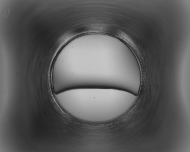 X0000086011283200703230903