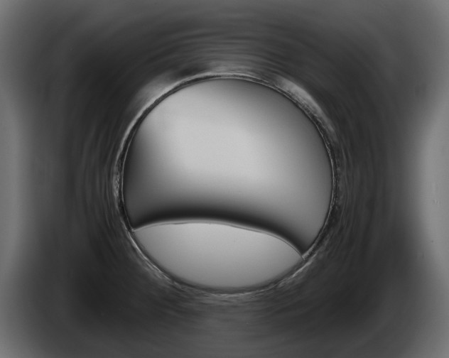 X0000086011284200703230903
