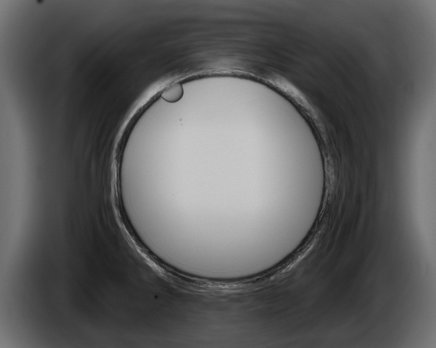 X0000086011286200703230903