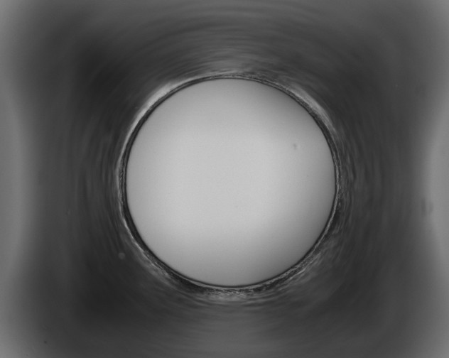 X0000086011291200703230903