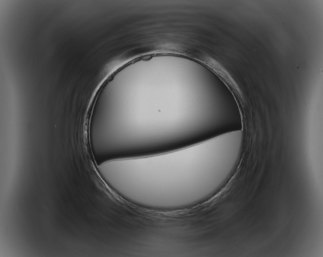 X0000086011292200703230903