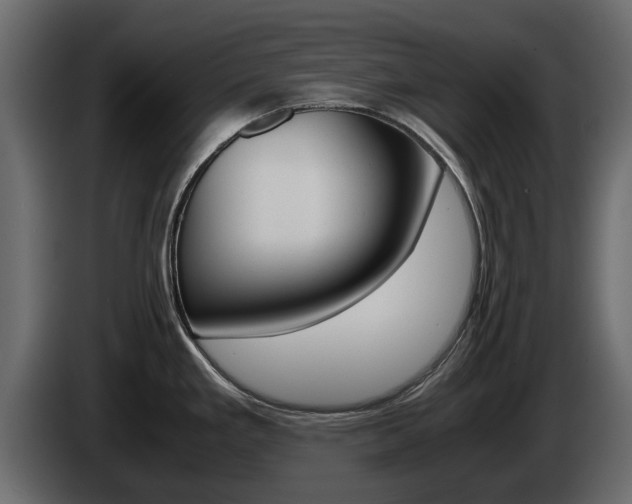 X0000086011293200703230903
