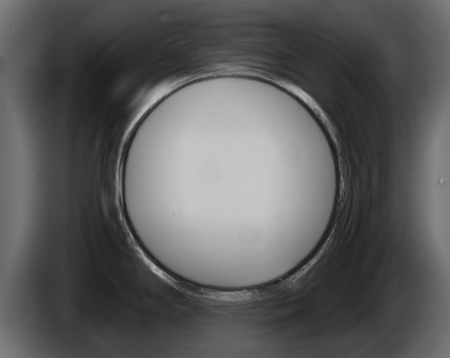 X0000086011294200703230903
