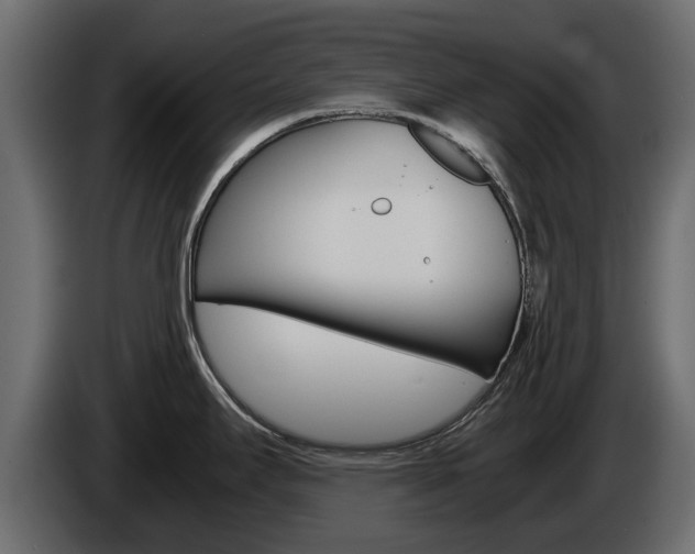 X0000086011295200703230903