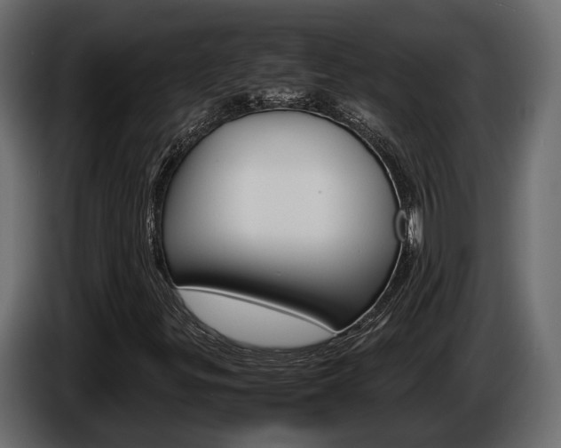 X0000086011299200703230902