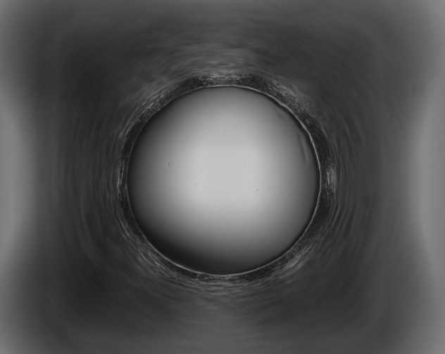 X0000086011300200703230902