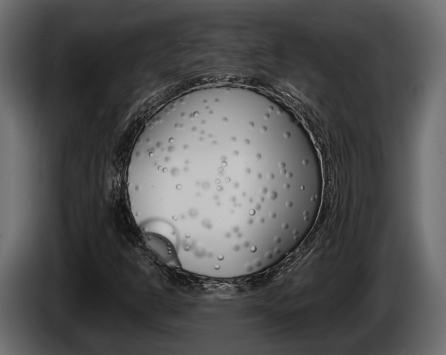 X0000086011302200703230902