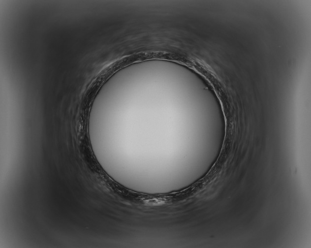 X0000086011303200703230902