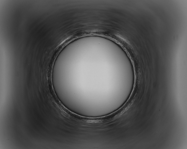 X0000086011305200703230902
