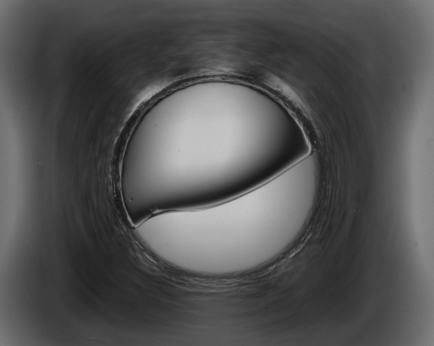 X0000086011308200703230902