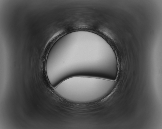 X0000086011309200703230902