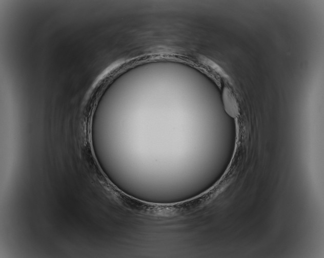 X0000086011310200703230902