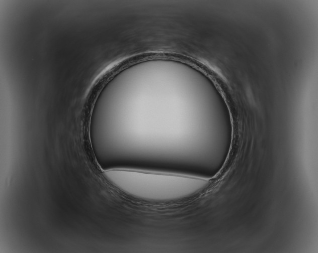 X0000086011311200703230902