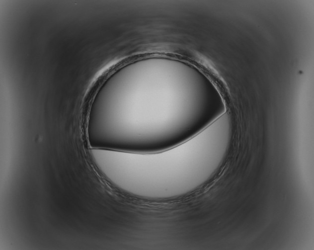 X0000086011312200703230902