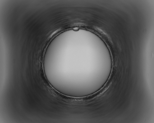 X0000086011313200703230902
