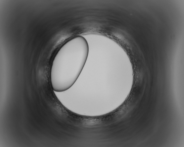 X0000086011314200703230902