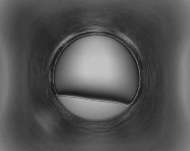 X0000086011318200703230902