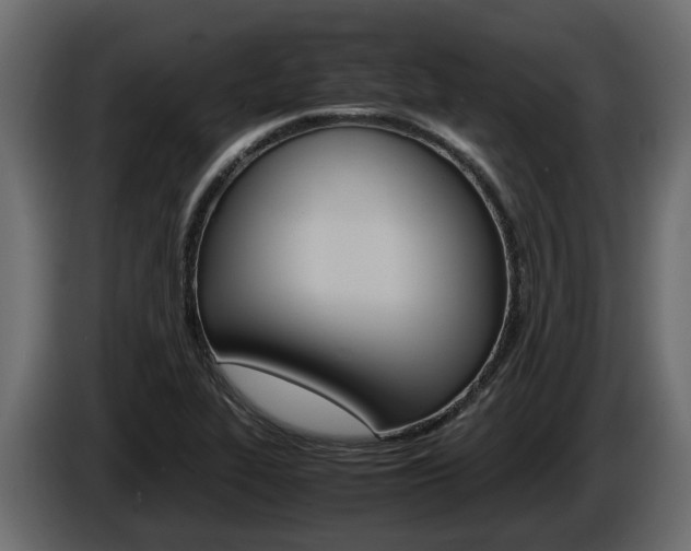 X0000086011319200703230902