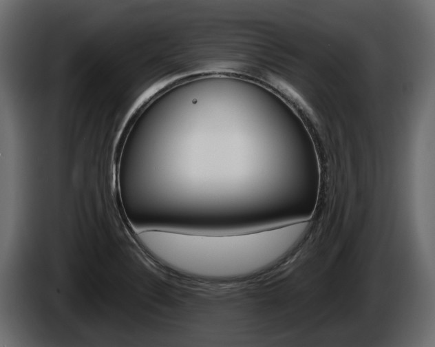X0000086011324200703230902