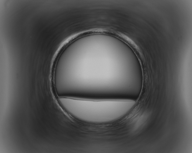X0000086011327200703230902