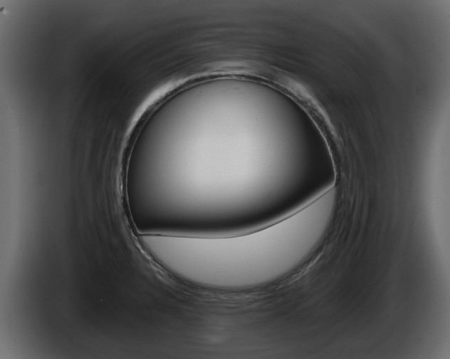 X0000086011328200703230902
