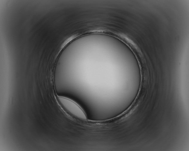 X0000086011329200703230902
