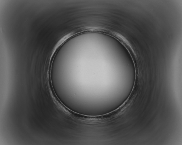 X0000086011330200703230902