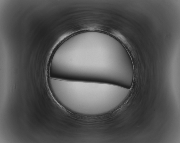 X0000086011331200703230902