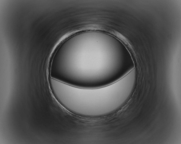 X0000086011334200703230902