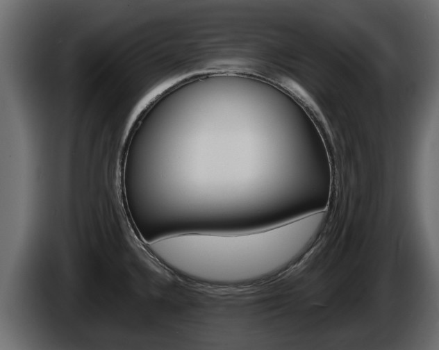 X0000086011336200703230902