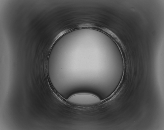 X0000086011337200703230902