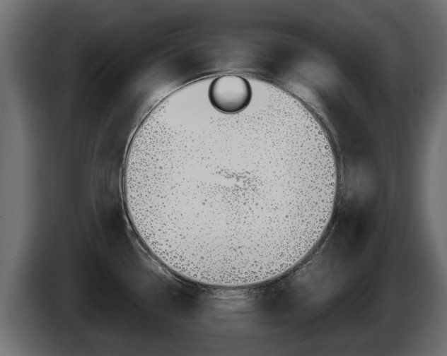 X0000086011338200703230902