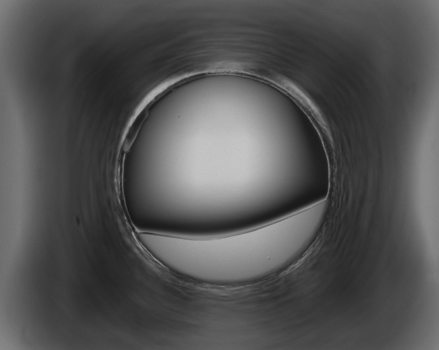 X0000086011340200703230902