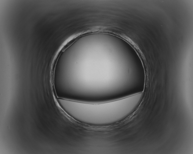 X0000086011342200703230902