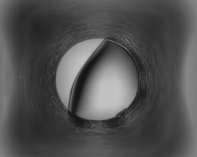 X0000086011345200703230902
