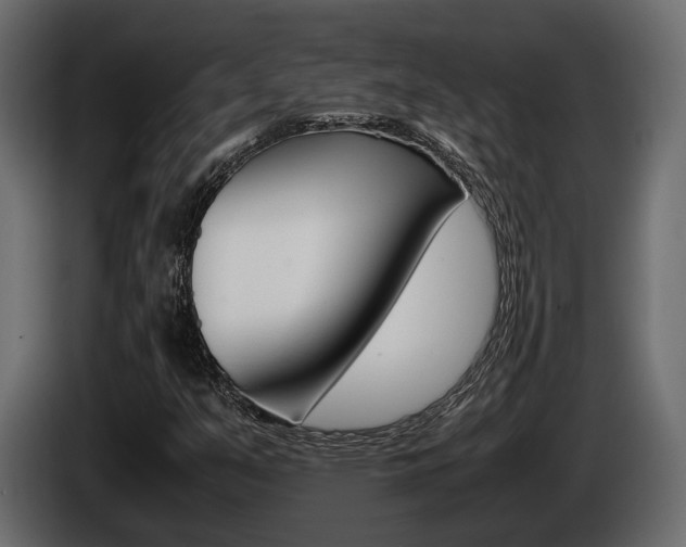 X0000086011351200703230902