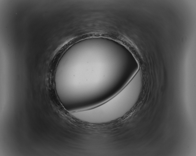 X0000086011352200703230902