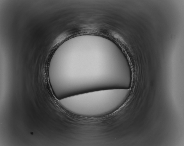 X0000086011354200703230902