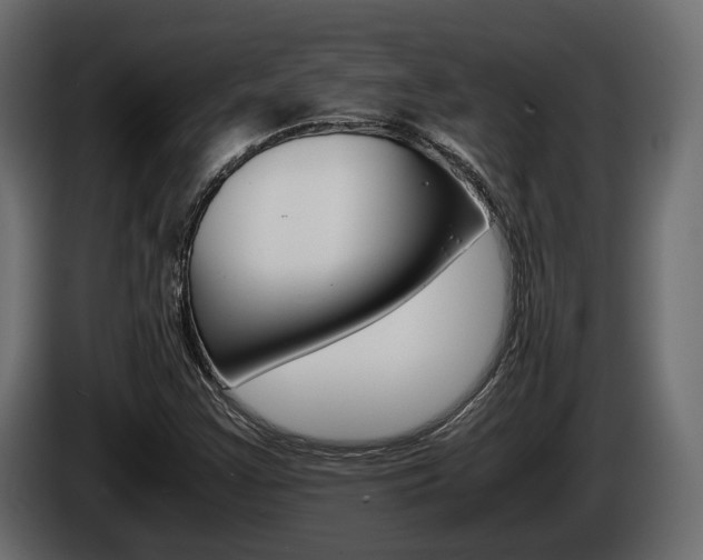 X0000086011355200703230902