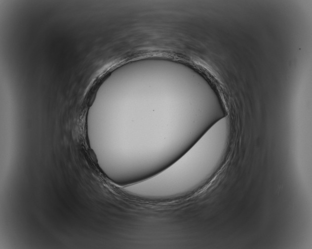 X0000086011357200703230902