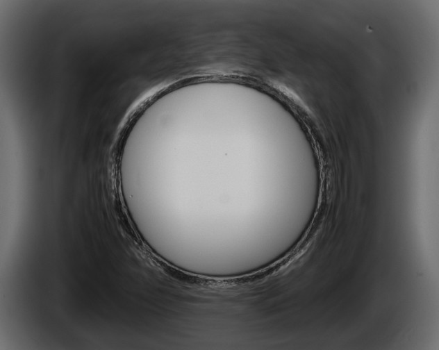 X0000086011358200703230902