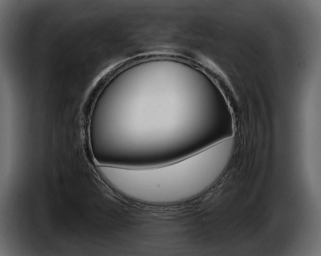 X0000086011360200703230902