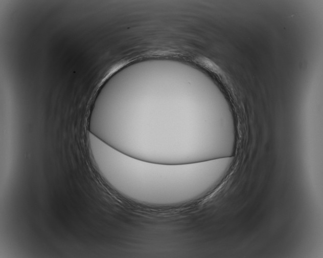 X0000086011361200703230902