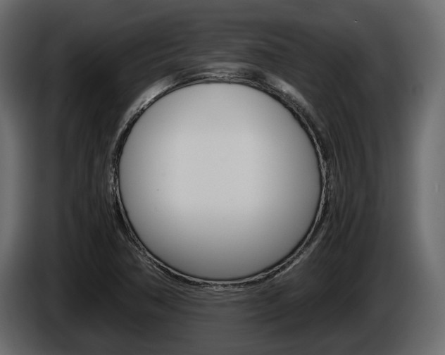X0000086011362200703230902