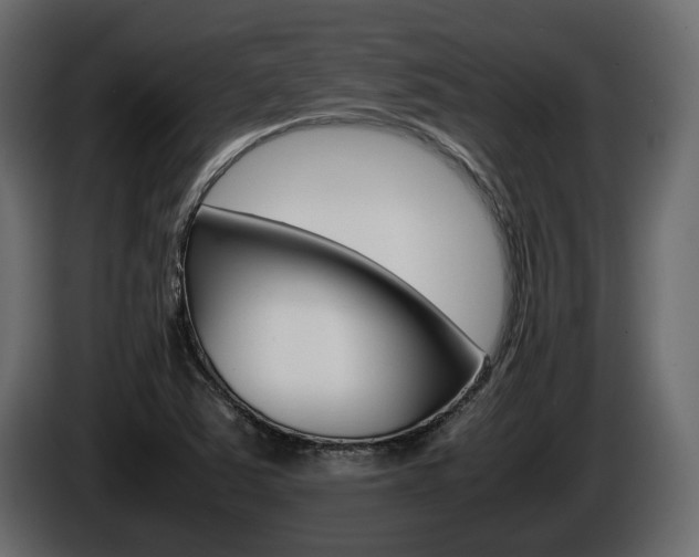 X0000086011363200703230902
