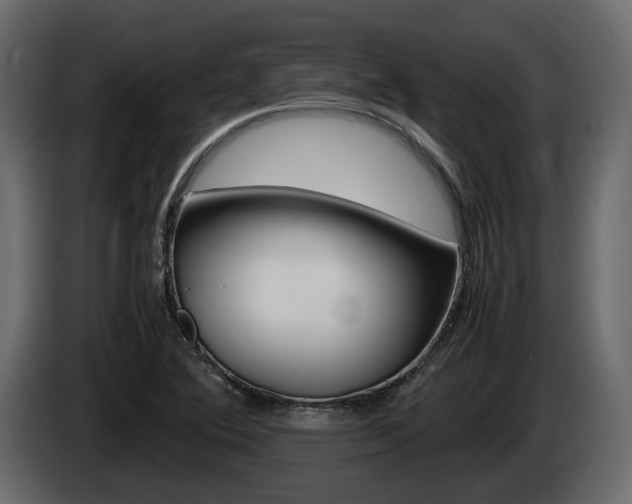 X0000086011364200703230902