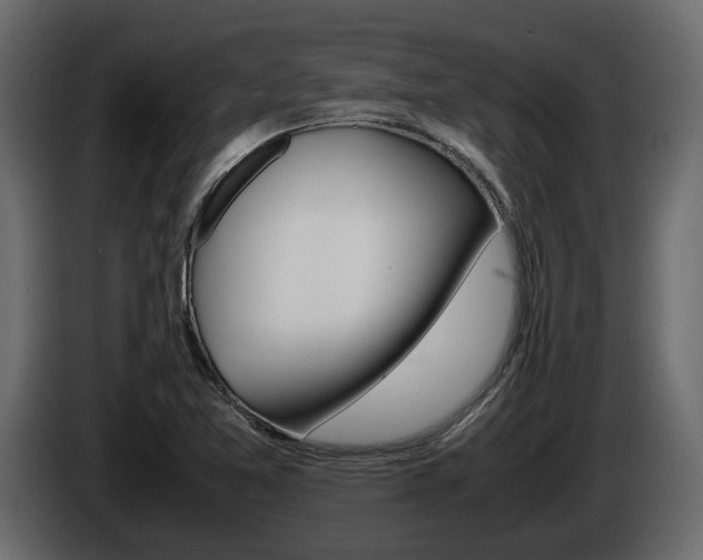 X0000086011365200703230902