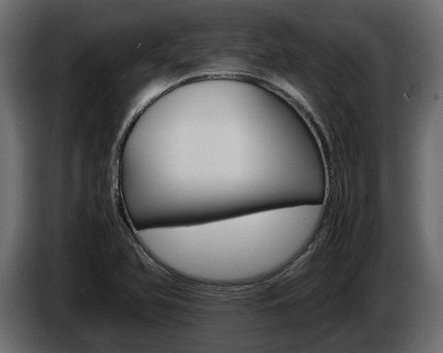 X0000086011366200703230902