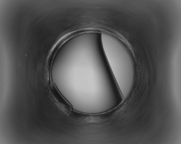 X0000086011368200703230901