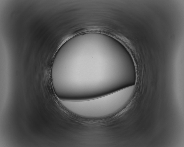 X0000086011369200703230901